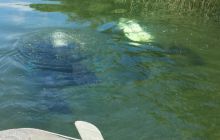 Spływ Rzeczny - relacja