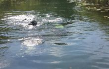 Spływ Rzeczny - relacja