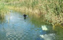 Spływ Rzeczny - relacja