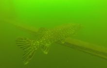 Ciekawostki z Kłodna