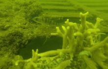 Ciekawostki z Kłodna