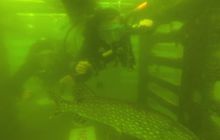 Ciekawostki z Kłodna