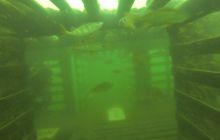 Ciekawostki z Kłodna