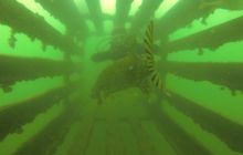 Ciekawostki z Kłodna