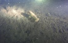 Ciekawostki z Kłodna