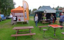 Bociany odlatują do Egiptu