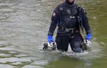 Bociany odlatują do Egiptu