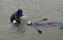 Bociany odlatują do Egiptu