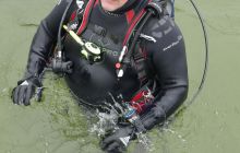 Bociany odlatują do Egiptu