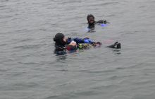 Bociany odlatują do Egiptu