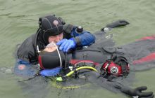 Bociany odlatują do Egiptu