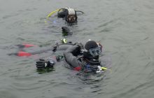 Bociany odlatują do Egiptu