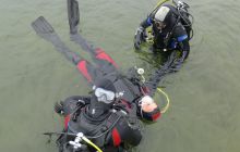 Bociany odlatują do Egiptu