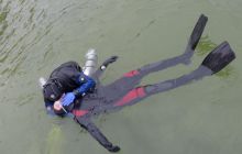 Bociany odlatują do Egiptu