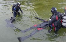 Bociany odlatują do Egiptu