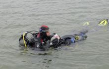 Bociany odlatują do Egiptu