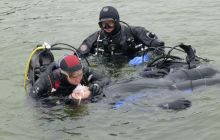 Bociany odlatują do Egiptu