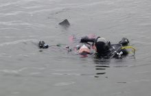 Bociany odlatują do Egiptu