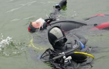 Bociany odlatują do Egiptu