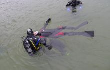 Bociany odlatują do Egiptu