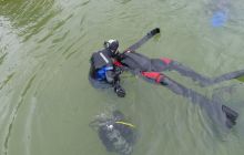 Bociany odlatują do Egiptu