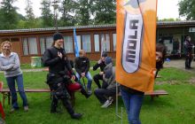 Bociany odlatują do Egiptu