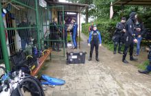 Bociany odlatują do Egiptu