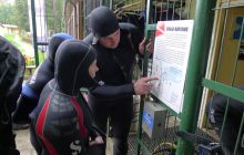 Bociany odlatują do Egiptu