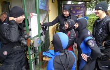 Bociany odlatują do Egiptu