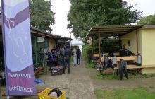 Bociany odlatują do Egiptu