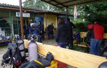 Bociany odlatują do Egiptu