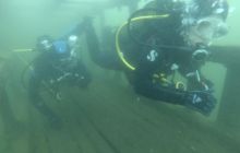 A nam jest szkoda lata