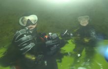 A nam jest szkoda lata