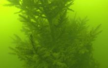 A nam jest szkoda lata