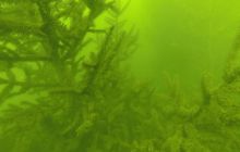 A nam jest szkoda lata