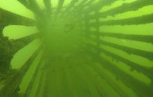 A nam jest szkoda lata