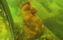 A nam jest szkoda lata