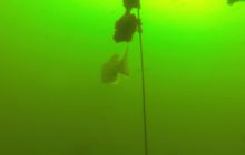 A nam jest szkoda lata