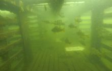 A nam jest szkoda lata