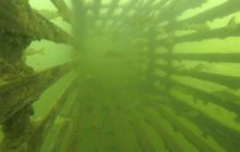 A nam jest szkoda lata