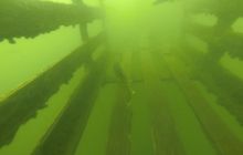 A nam jest szkoda lata