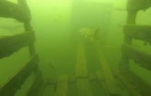 A nam jest szkoda lata