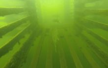 A nam jest szkoda lata