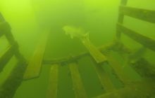 A nam jest szkoda lata