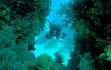 Safari Abu Fandera listopad 2013