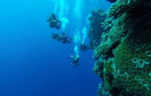 Safari Abu Fandera listopad 2013