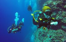 Safari Abu Fandera listopad 2013