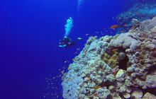 Safari Abu Fandera listopad 2013