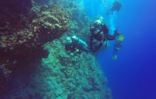 Safari Abu Fandera listopad 2013