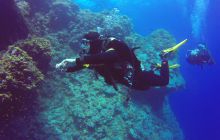 Safari Abu Fandera listopad 2013